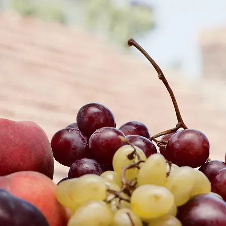 Ξενοδοχείο Geneva